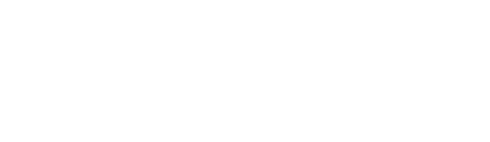caricuru-logo